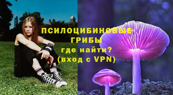2c-b Алексин