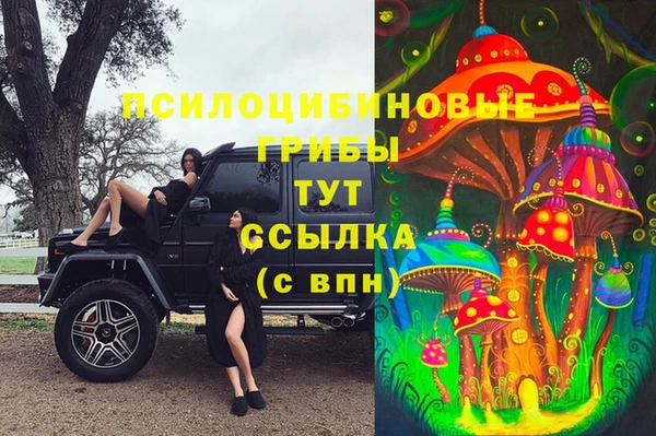 марки lsd Алексеевка