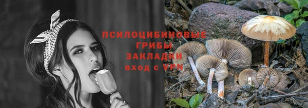 не бодяженный Алзамай