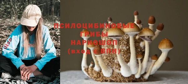 не бодяженный Алзамай