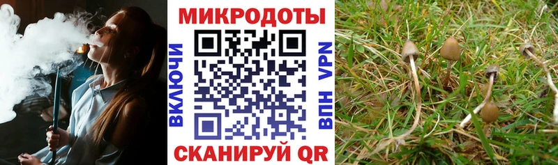 Псилоцибиновые грибы Psilocybe  Белорецк 